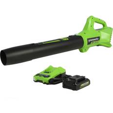 Leaf Blowers Greenworks 24V Axial Blower with 2Ah USB Battery and Charger BL24B212