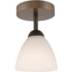 Natural Spotlights Adriano Semi Flush Spotlight