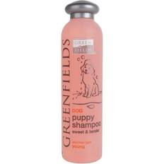 Shampoo hvalp Greenfields Hundeshampoo Til Hvalpe 250