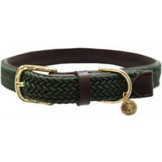 F. Nylon hundhalsband grön