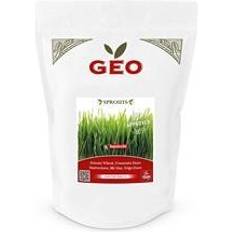 Ruohonsiemenet Geo Vetegräsfrö EKO 600 gram