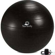 Black Gym Balls Yoga Ball Chair for Home Gym