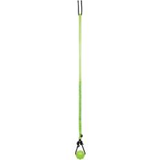Jolly Dog Toy Size Green/Black - Green/Black Jolly Pets