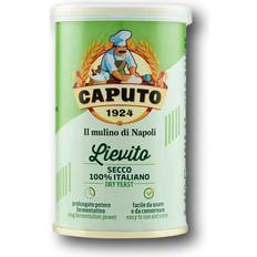 LIEVITO TØRGÆR 100G