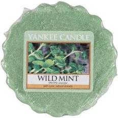 Yankee Candle Classic Wax Melt Wild Mint 22 Wax Melt