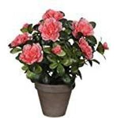 Rød Kunstige planter Mica Decorations 950331 blommor, Azalea Kunstig plante