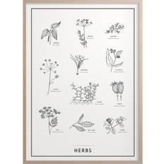 FSC (The Forest Stewardship Council) Posters Kunskaps Tavlan Herbs Poster