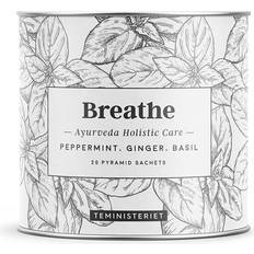 Kanel Te Teministeriet Ayurveda Beauty økologisk te breve 30g 20stk 1pak