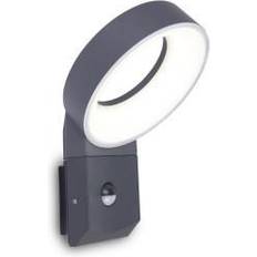 Meridian Meridian Væglampe Wall light