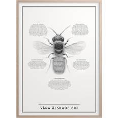 Våra Älskade Bin