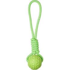Husdjur Companion Aqua Ball on Rope