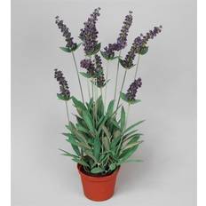 Planter lavendel lavendel Kunstig plante