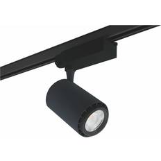 Rex 2 skinnespot 3F