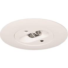 B-Safety BL552038 Spotlight