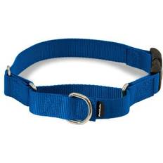 PetSafe Martingale 1in Collar with Quick-Snap