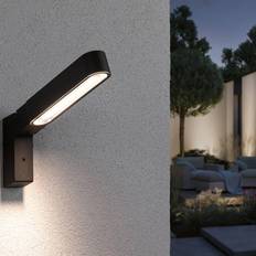 Paulmann Ito outdoor Wall light