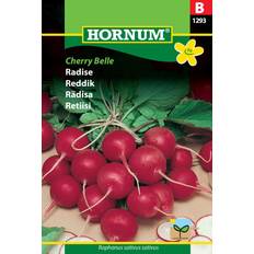 Hornum Radise Frø, Cherry Belle Grøntsagsfrø