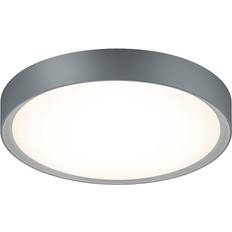 Trio Lighting Clarimo Grey Loftplafond