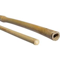 Bambuspinde Weibulls Bambuspinde 100 3 stk. Plantekasse