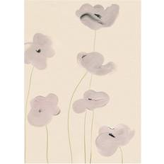 Paper Collective White Vallmo Plakat