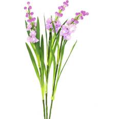 LED-belysning - Pink Julebelysning Europalms Arum set, 3 Julelampe