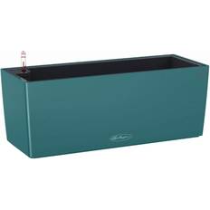 Lechuza balconera Lechuza 15698 Balconera Color 50 Self-Watering Garden Planter Krukke