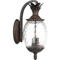 Acclaim Lighting 7512BC Lanai Wall light