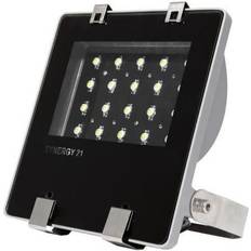Lamper Synergy21 Synergy 21 Spotlight