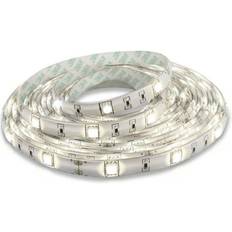 Phoebe 5m Warm Light Strip