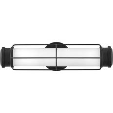 Hinkley 54300 Saylor Wall Flush Light