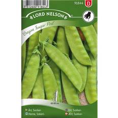 Nelson Garden Fröer Sockerärt Oregon Sugar Pod
