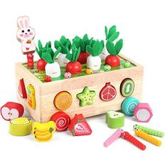 Shape Sorters Montessori