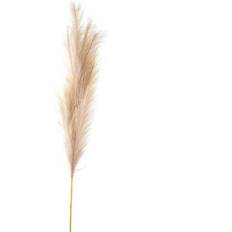 Fils et Fournitures de Couture Hill Interiors Bleached Large Faux Pampas Grass Stem