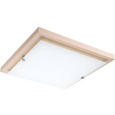 Lamkur Square Simple Ceiling Flush Light