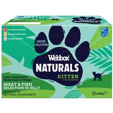 Webbox Natural Jelly Kitten Pouch Pack