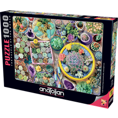 Anatolian Cacti Pots 1000 Pieces