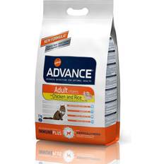 Affinity Advance Adult High Protein med kylling og ris kattefoder 15