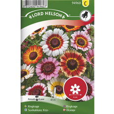 Blomsterfröer Nelson Garden Fröer Ringkrage Blandade Färger