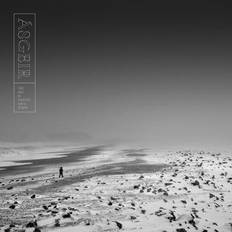 Asgeir The Sky Is Painted Gray Today (Vinyl)