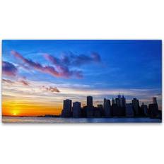 Interior Details Trademark Fine Art CATeyes "NYC Sunset" 16x32 Framed Art