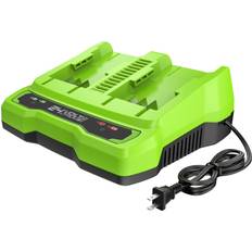 24 volt batteri Greenworks 24-Volt Lithium Ion (li-ion) Charger CAG817