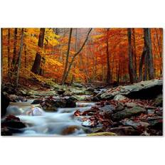 Trademark Fine Art 22 32 Ultimate Truth CATeyes Canvas Framed Art