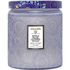 Verre 2 Mèches Bougies Parfumées Voluspa Apple Blue Clover Bougie Parfumée 1247g