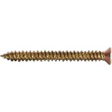Fischer 521547 Montageskruv TX30, 100-pack