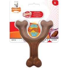 Nylabone Extreme Chew Bison Small