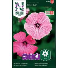 Nelson Garden Fröer Malva Sommar Blomsterfrø