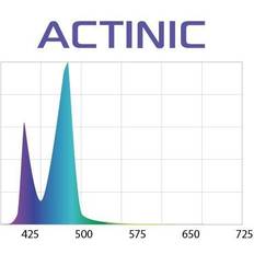 Actinic Aquael Lysrör LED Slim Actinic