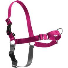 Dog harness no pull PetSafe Easy Walk Dog Harness No Pull Dog
