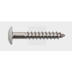 SWG 211545620 Fasadskrue 5,5 T-profil A4