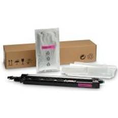 HP Managed Developer Unit - Magenta